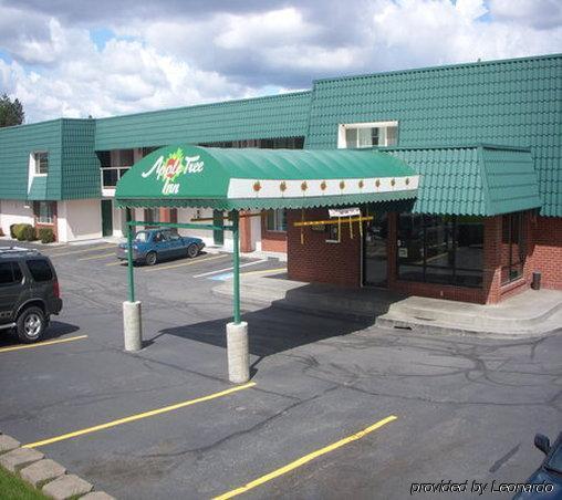 Apple Tree Inn Spokane Esterno foto